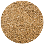 Kolendra mielona - obrazek 2