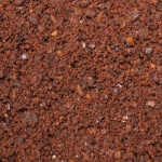 Lin karaś - obrazek 2