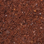 Orzech tygrysi - obrazek 2