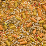 Słodka kukurydza - obrazek 2