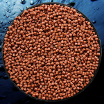 Truskawka 2mm - obrazek 2