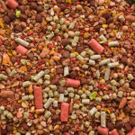 Truskawka - obrazek 2